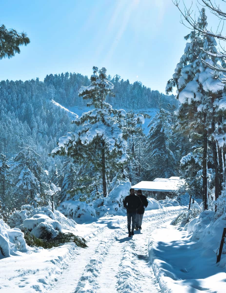 Kufri, Himachal Pradesh