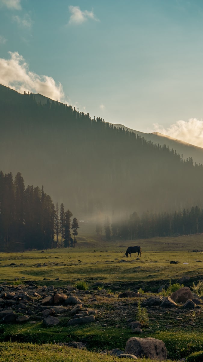 Doodhpathri, Jammu & Kashmir