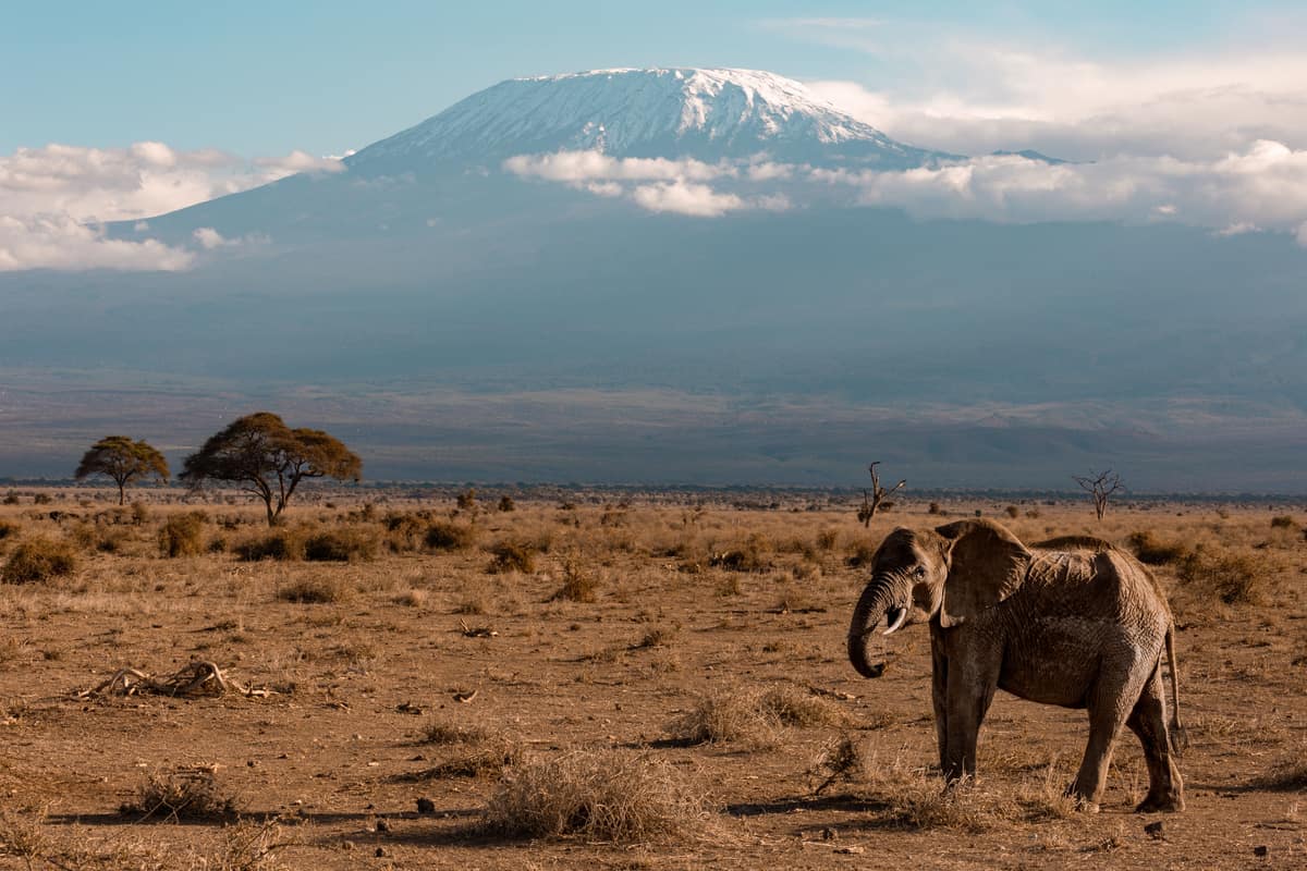 Amboseli National Park, Kenya + Tanzania