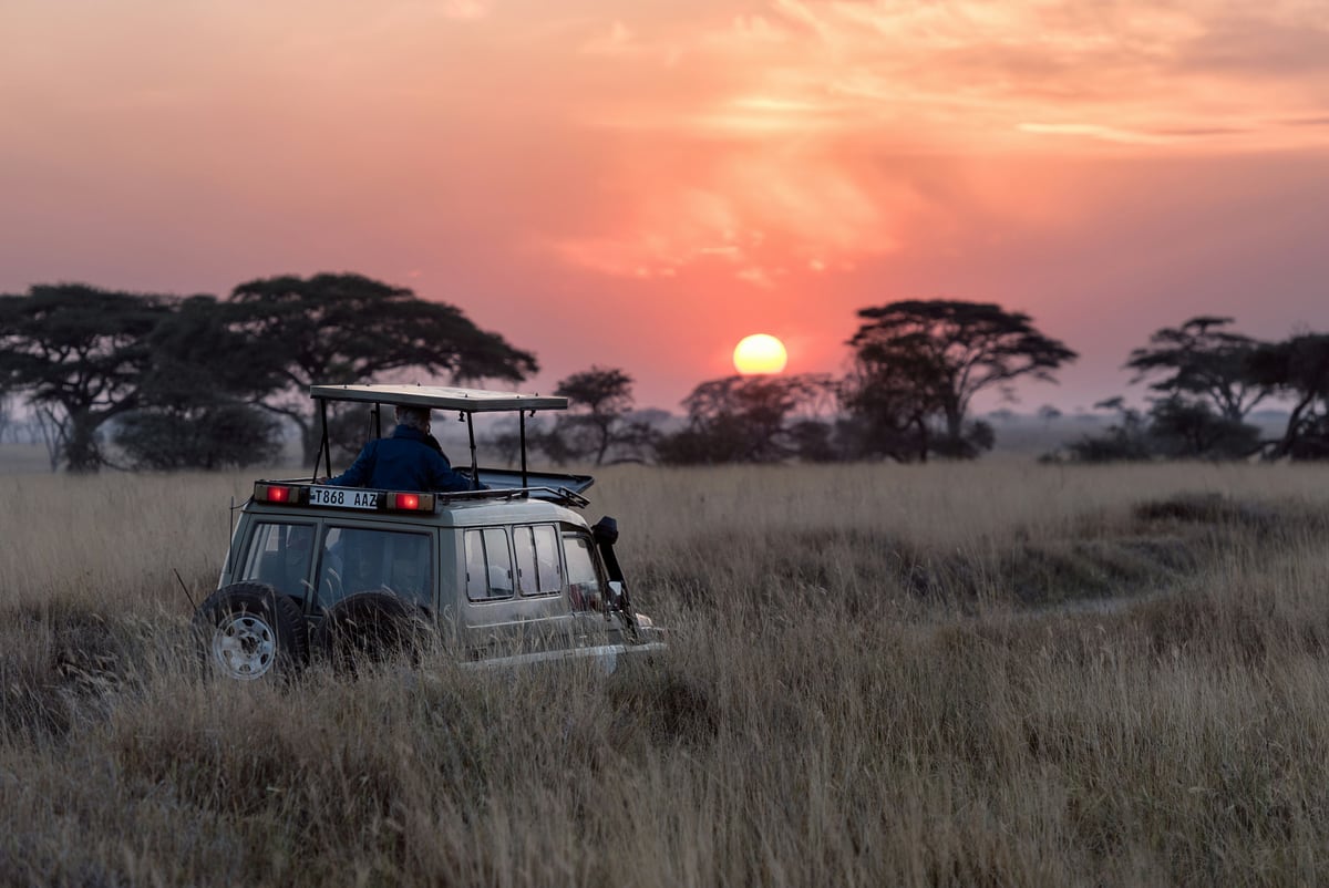 Serengeti National Park, Kenya + Tanzania