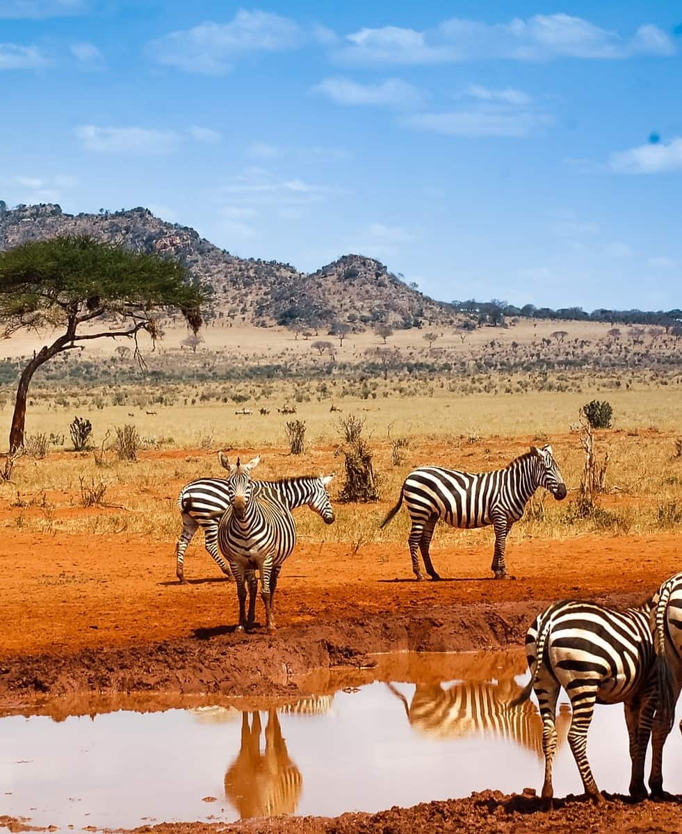 Kenya — Orbitz Holidays