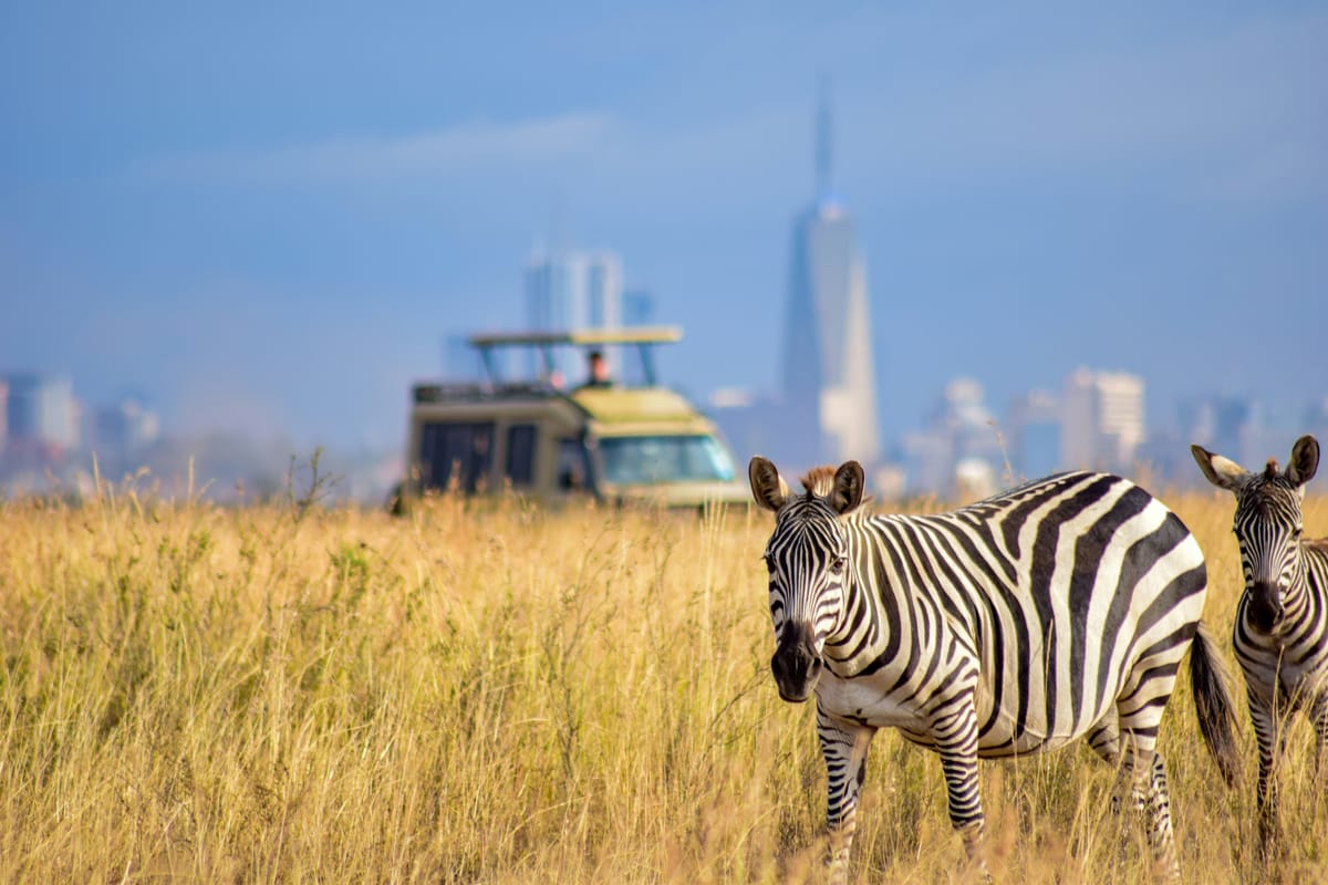 Nairobi National Park, Kenya