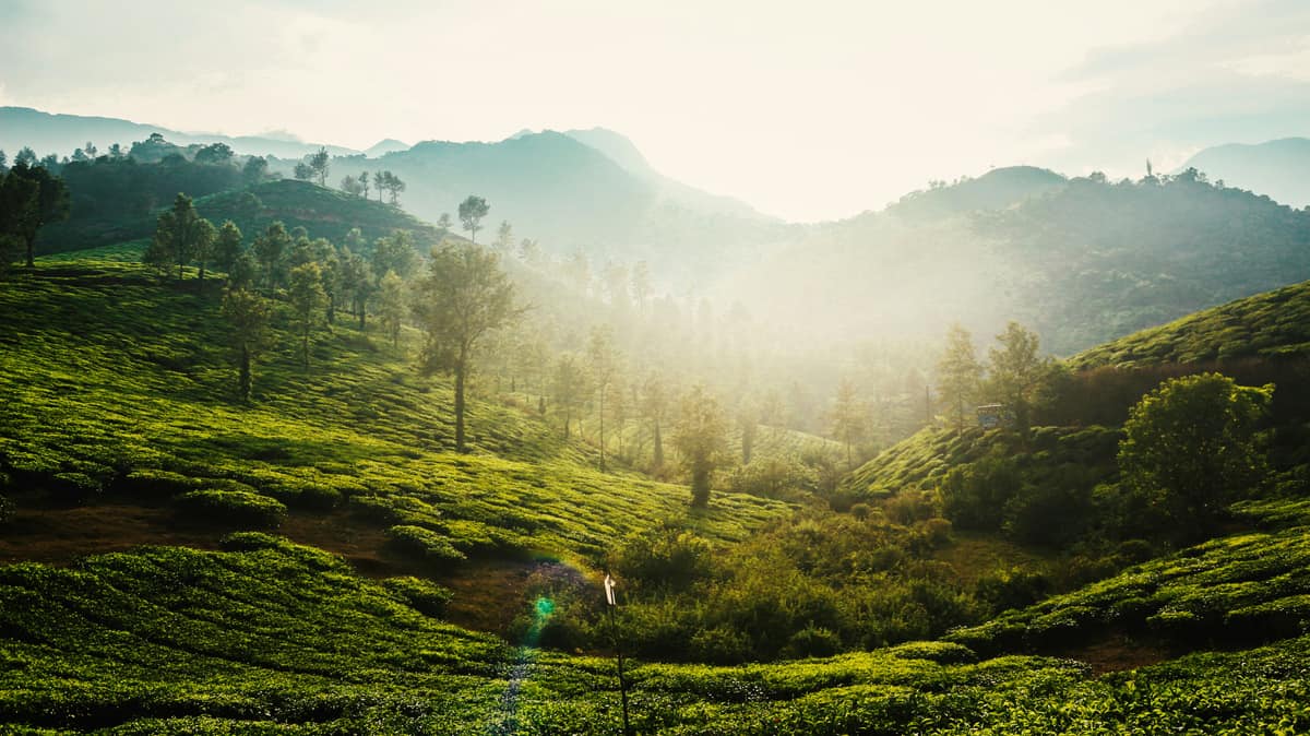 Wayanad, Kerala