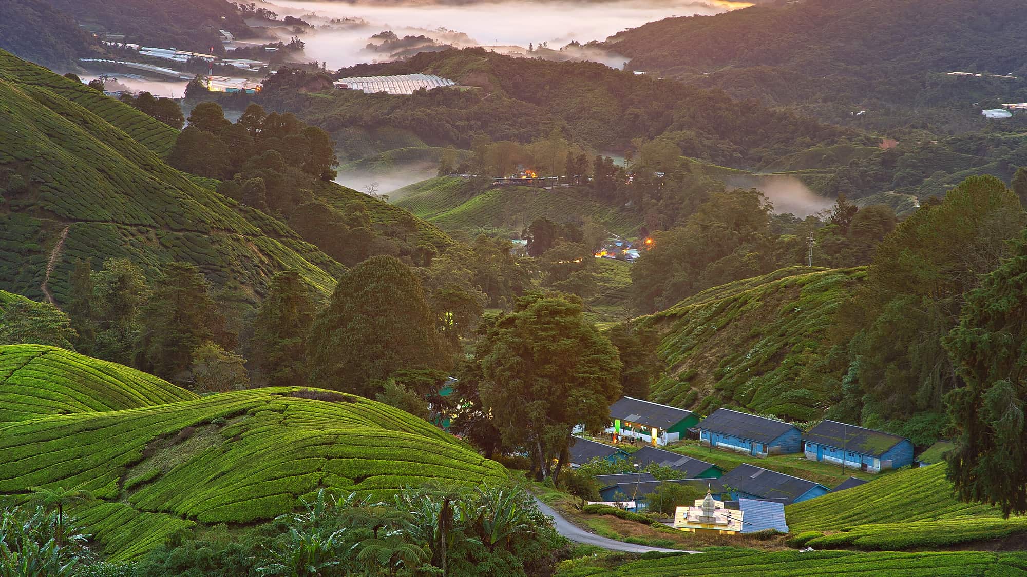 Malaysia — Orbitz Holidays international tour
