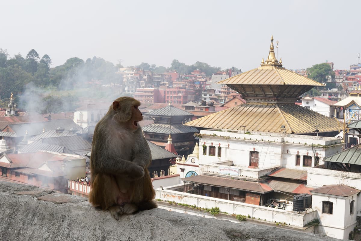 Swayambhunath, Monkey Temple, Nepal