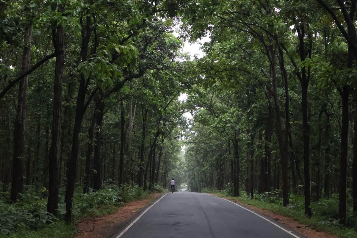 Kankrajhor forest, Purulia & Jhargram