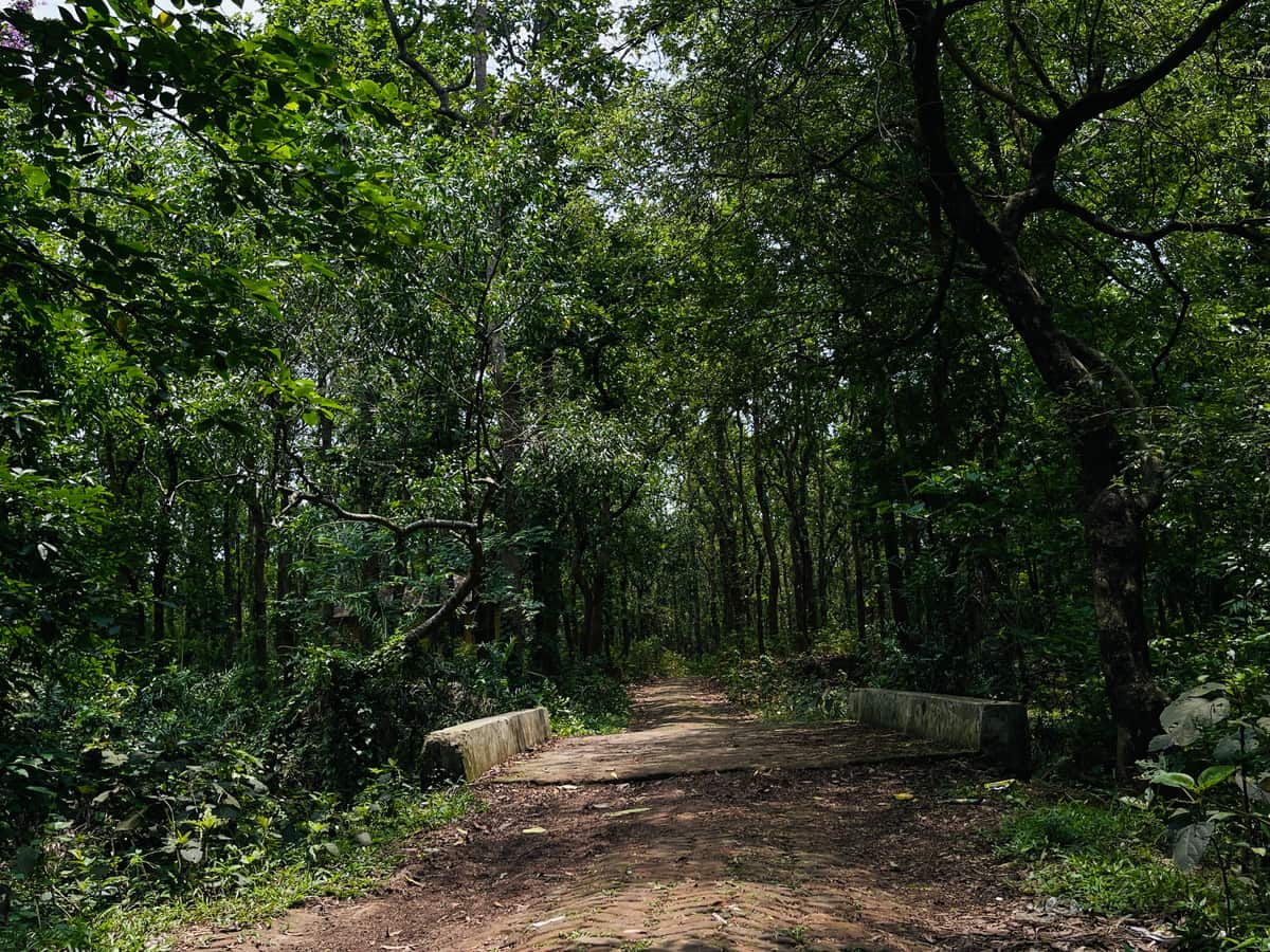 Kankrajhor forest, Purulia & Jhargram