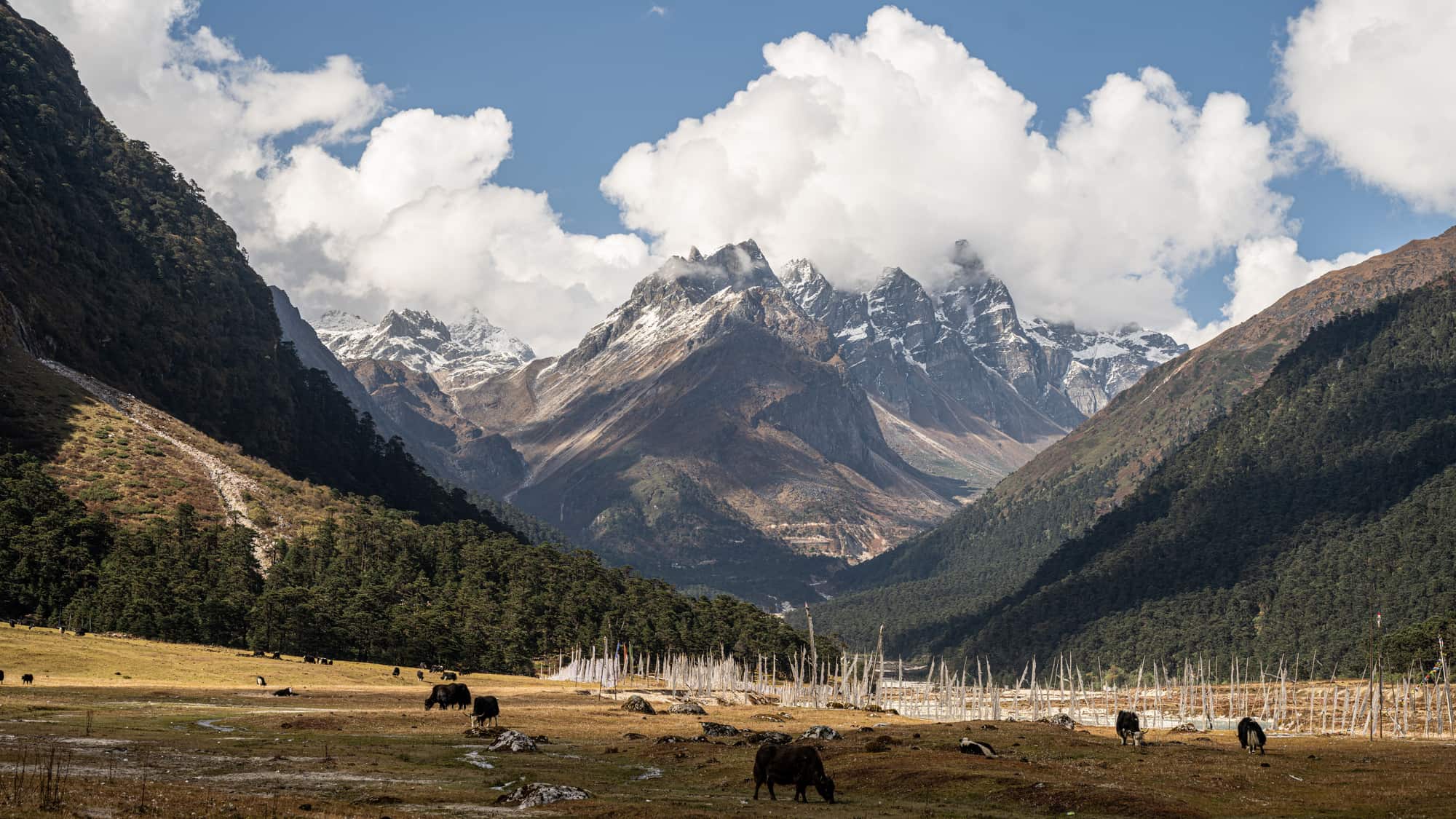 Sikkim — Orbitz Holidays domestic tour